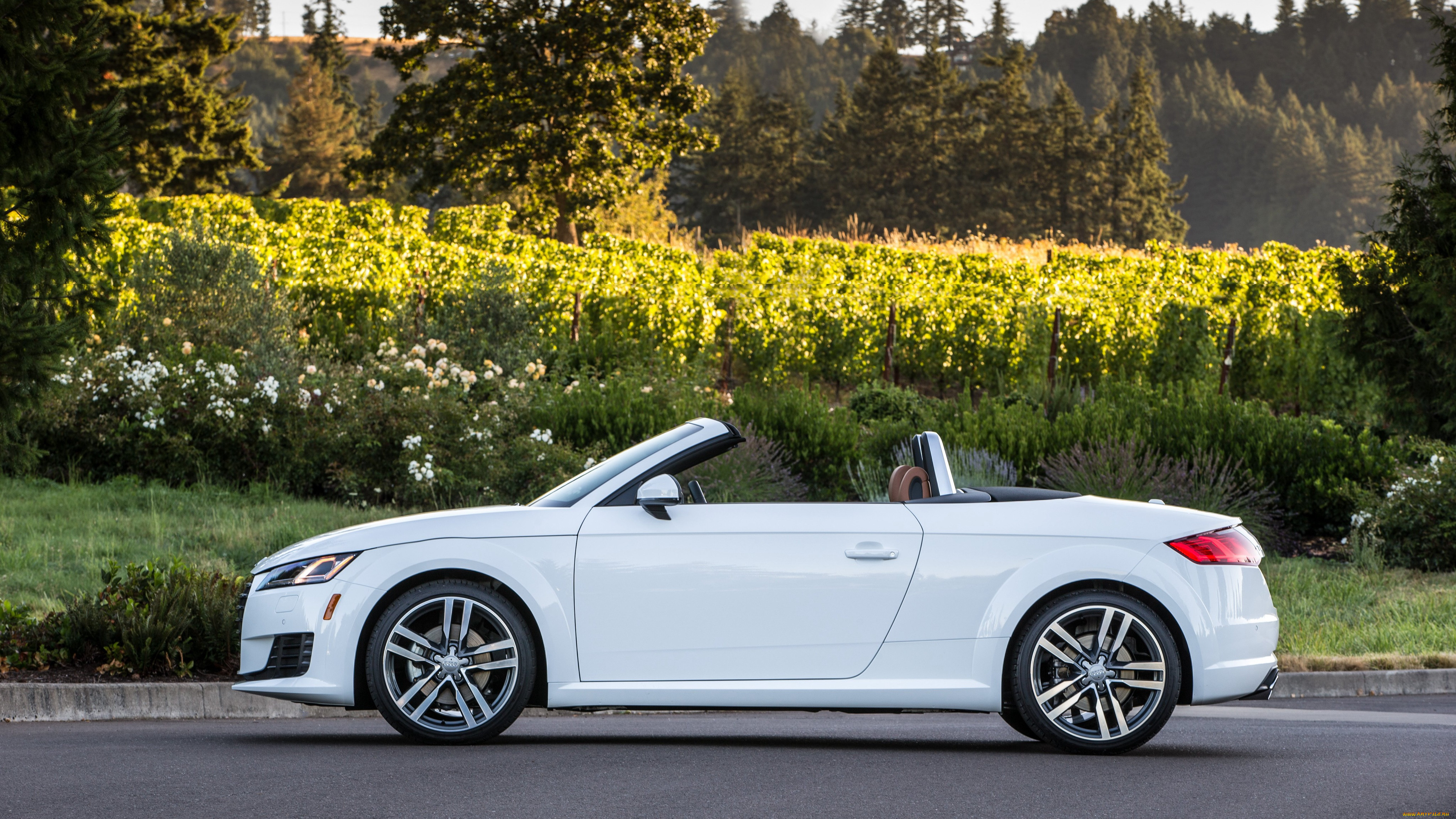 , audi, 2016, tt, roadster, 2-0, tfsi, quattro, us-spec, 8s, 